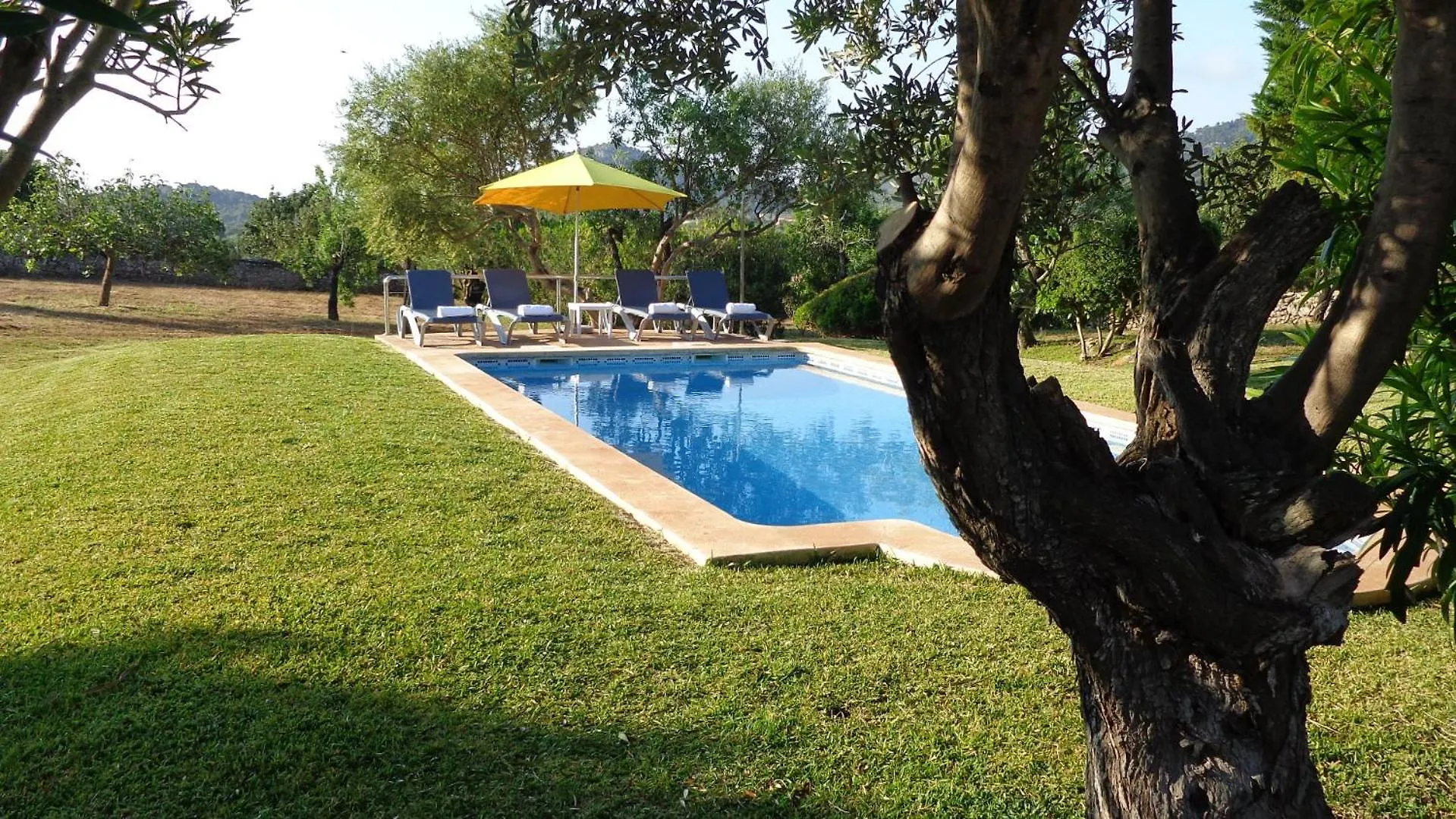 Finca Ca N'Andreu كابذيبيرا 0*,